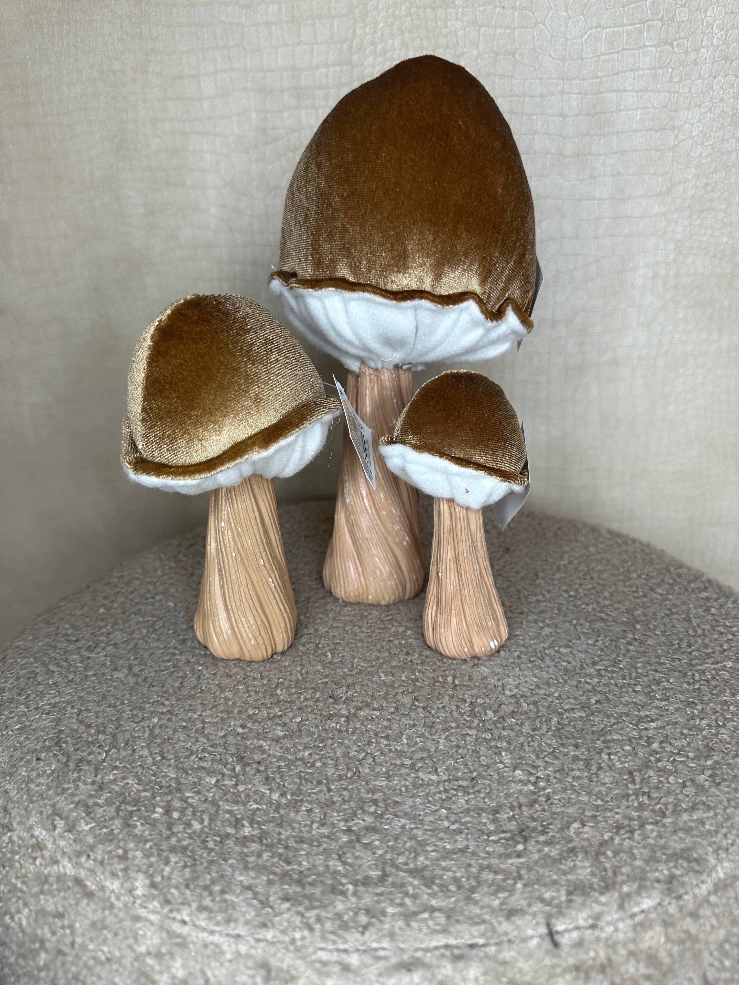 Paddestoelen deco