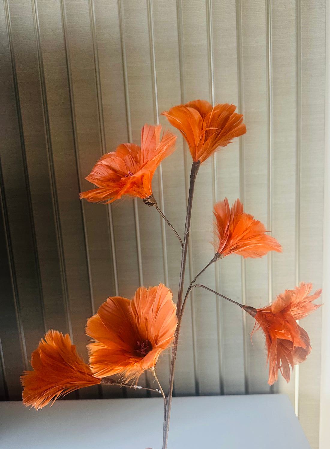 Orange flowers