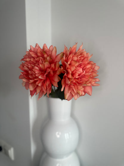 Dahlia single stem