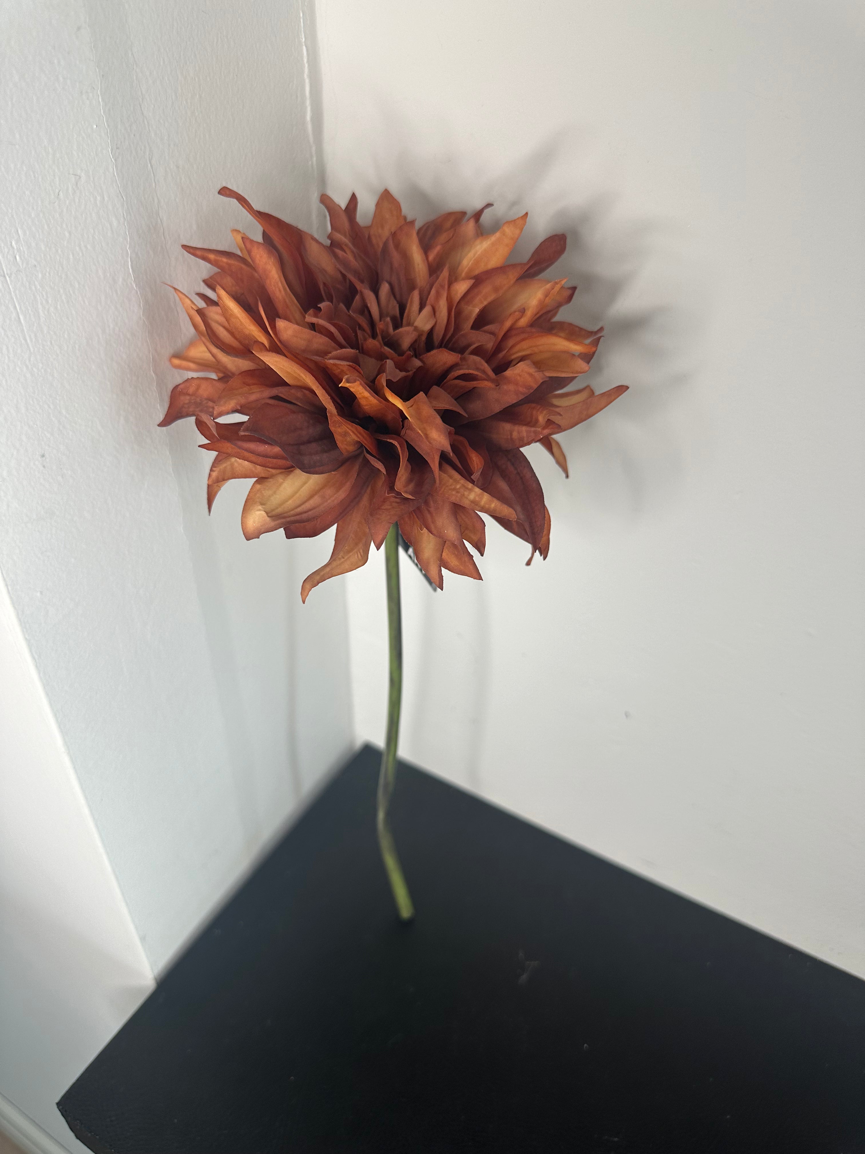 Dahlia coffee